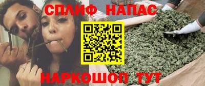 гашик Тверь
