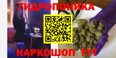 гашик Тверь