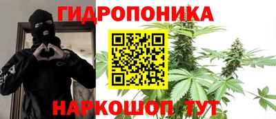 прущие грибы Тара